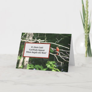Cartão Cardeais estão perto dos anjos aparecem - a visão 