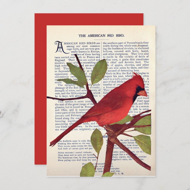 Cartão Cardeal (Frente/Verso)