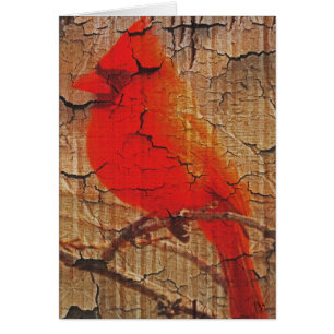 Cartão Cardeal no vidoeiro