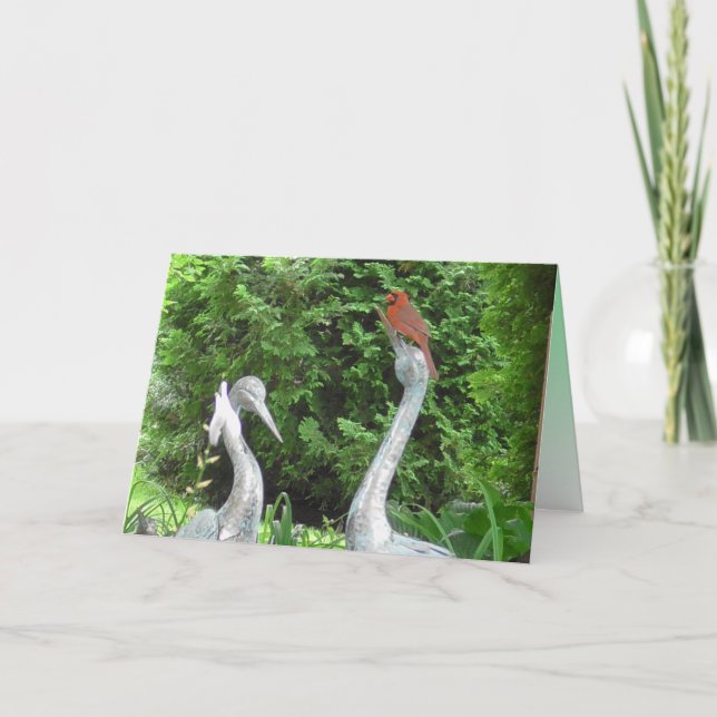 Cartão Cardeal parado no Vazio Pelicanos (Frente)