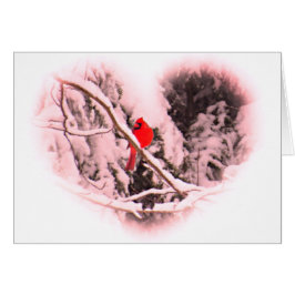 Cartão Cardeal Sangria Snow