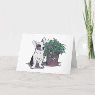 Cartão Cardigan Welsh Corgi Notecard ~ Blue Merle