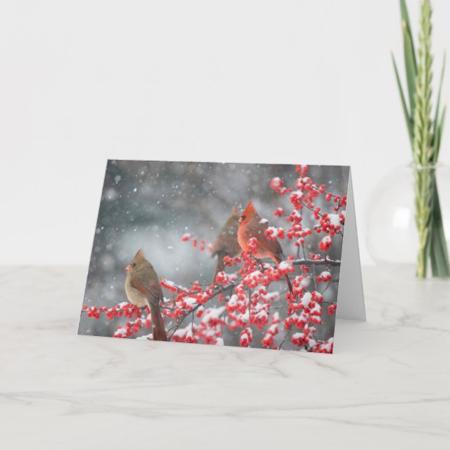 Cartão Cardinais do norte | Marion, Illinois (Frente)