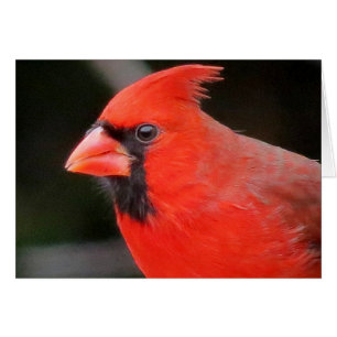 Cartão Cardinal