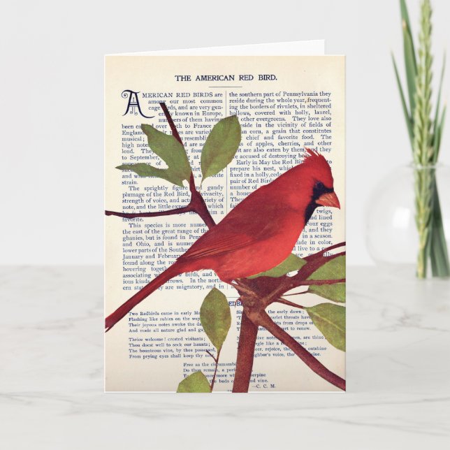 Cartão Cardinal (Frente)