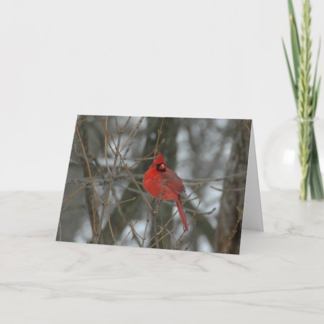 Cartão Cardinal (Frente)