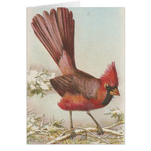Cartão Cardinal