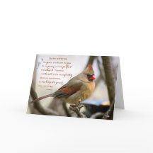 Cartão cardinal do incentivo do 12:9 de 2