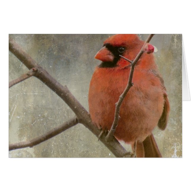 Cartão Cardinal Grunge (Frente Horizontal)