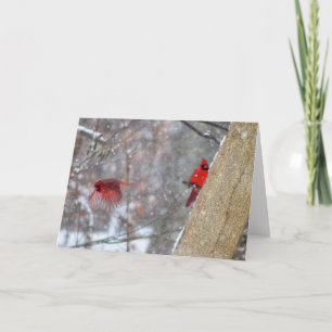 Cartão Cardinals in the Snow