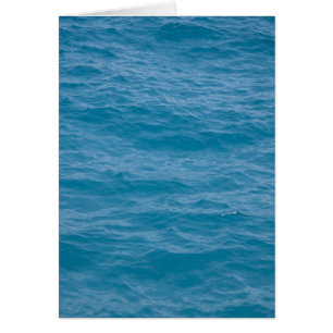 Cartão Caribe de água azul