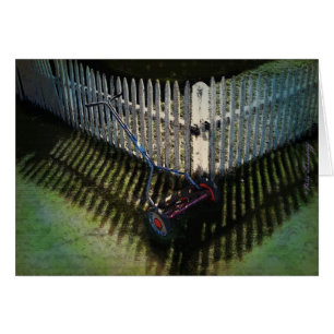 Cartão ~Carl Sandburg   da lua do pátio traseiro