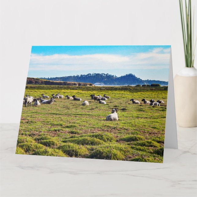 Cartão CarmEL RAMS Jumbo Greeting Card (Frente)