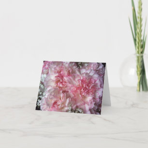 Cartão Carnation Notecards