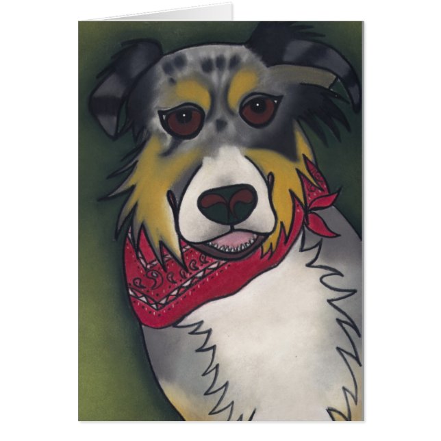 Cartão Carneiros obtidos?  por Robyn Feeley (Frente)