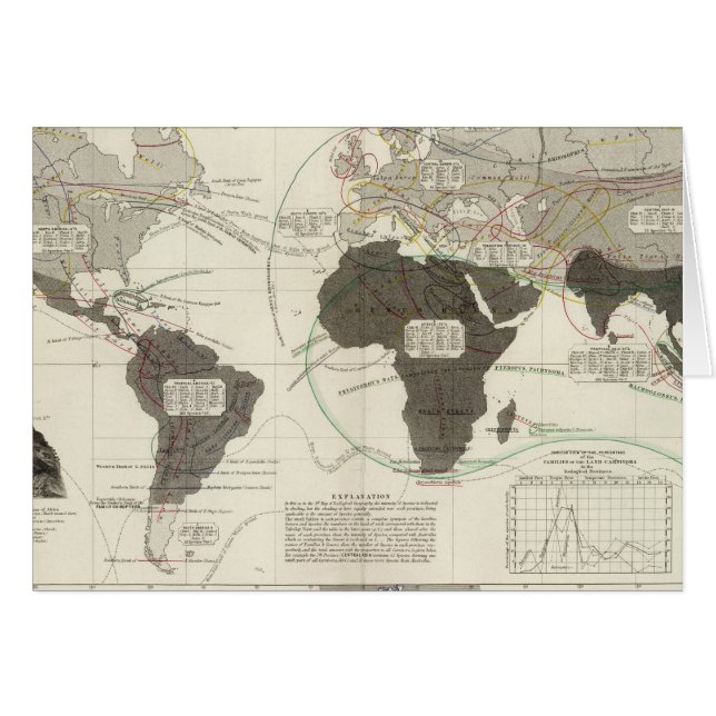 Cartão Carnivora (Frente Horizontal)