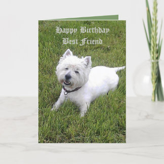 Cartão Caro amigo do feliz aniversario