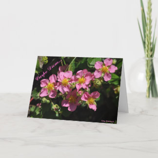 Cartão Carpe Diem…