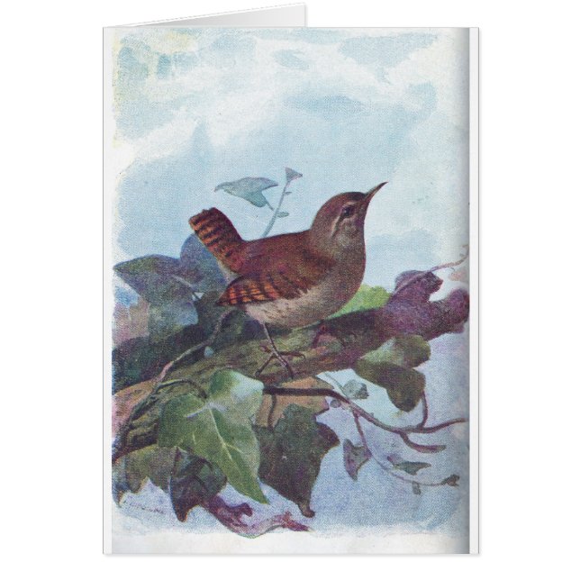 Cartão carriça (Frente)