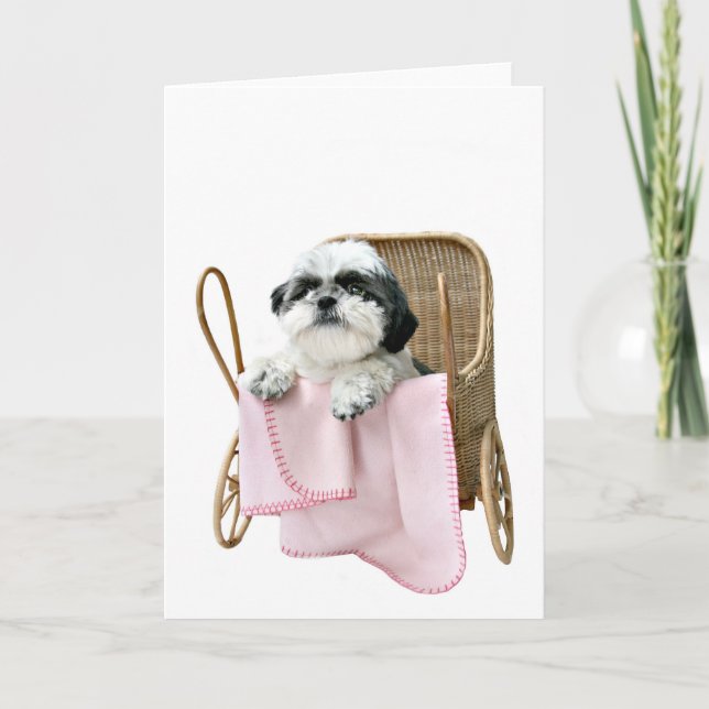 Cartão Carrinho de bebê de Shih Tzu (Frente)