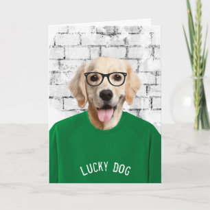 Cartão carta de cão de retriever dourado de camiseta verd
