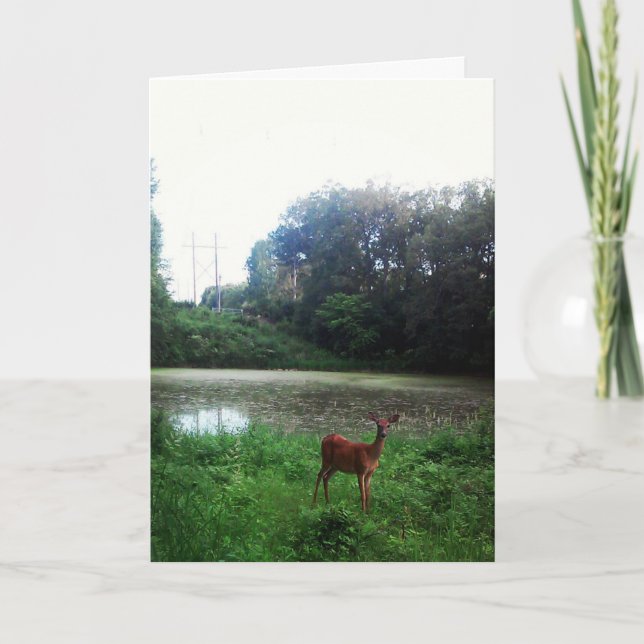 Cartão "Carta de Páscoa do Lago Alimagnet Deer" (Frente)