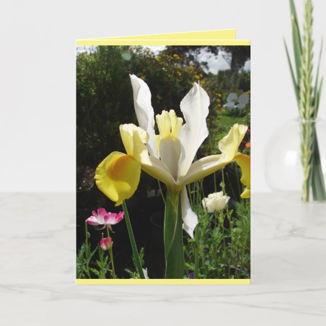 Cartão Carta floral de íris amarelo do jardim da casa de  (Frente)