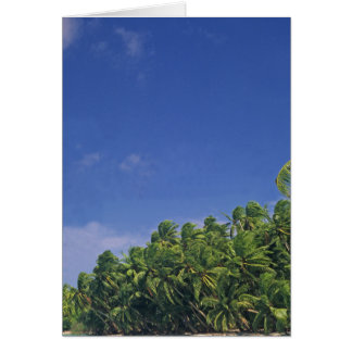 Cartão Cartão, a margem de Pukapuka.