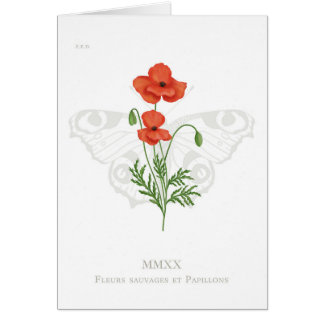 Cartão Cartão-borboleta-papoila e pavão