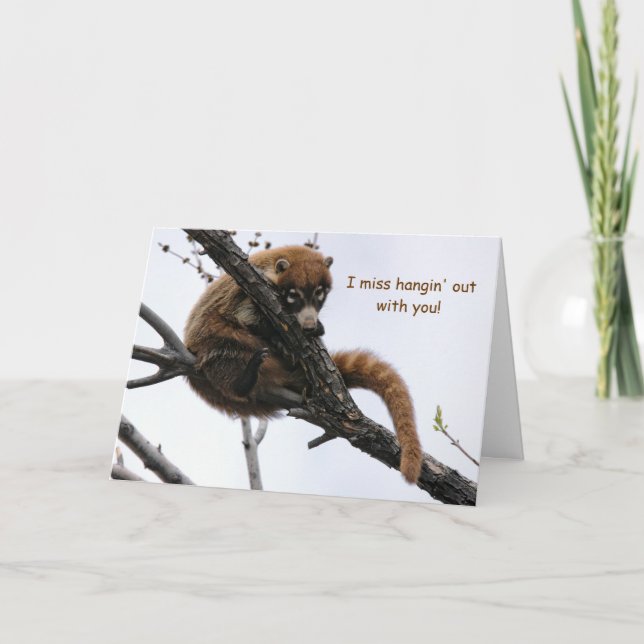 Cartão Cartão: Coatimundi #5 (Frente)