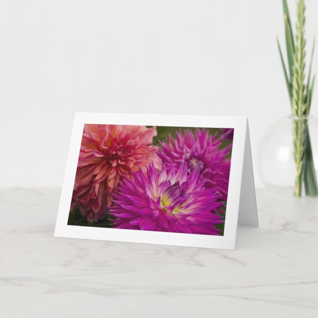 Cartão Cartão, Dahlia # 150 (Frente)