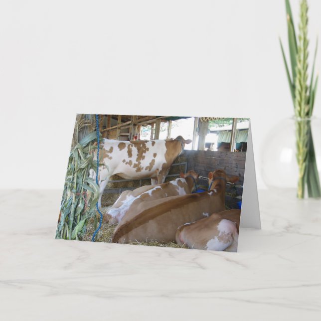 CARTÃO "CARTÃO DE 50º ANIVERSÁRIO DO HUMOR DE VACA" (Frente)