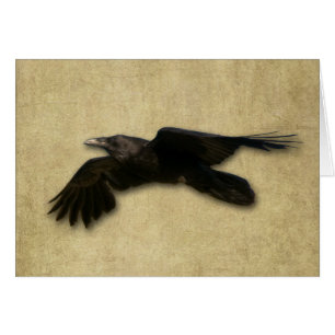 Cartão "Cartão do corvo solitário"