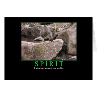 Cartão Cartão: Espírito - mosca - objetivo: VÁ!