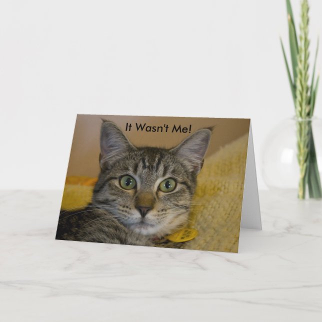Cartão Cartão:  Não era mim gato (Frente)