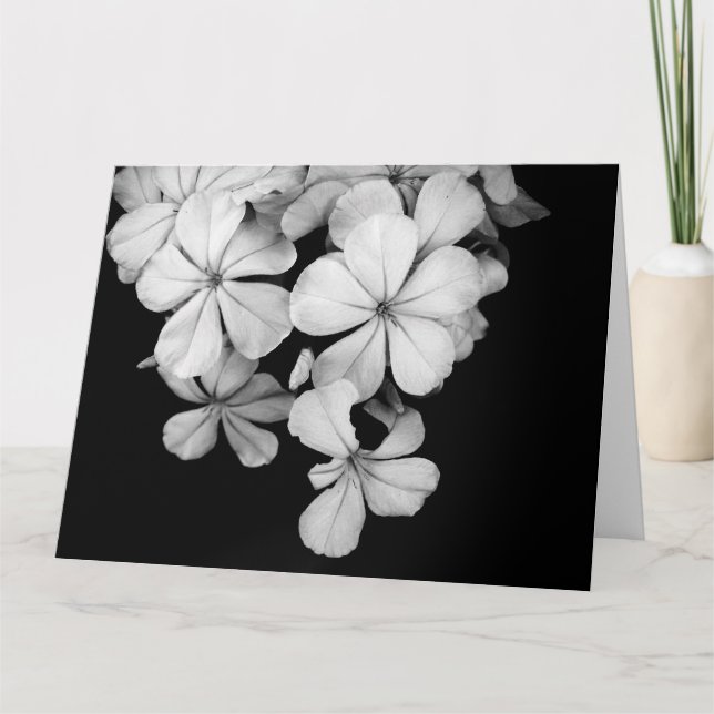 Cartão &Cartão postal (Frente)