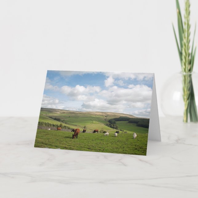 Cartão Cartão-postal Cat e Fiddle Inn (Frente)