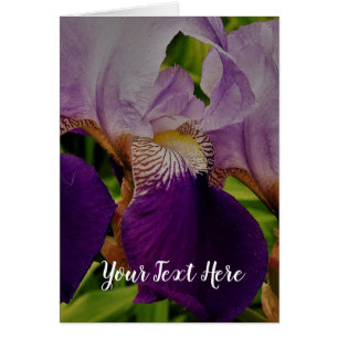 Cartão Cartão-postal de Foto da Flor Íris Roxo