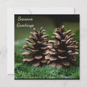 Cartão Cartão-postal de saudações Pine Cone Seasons