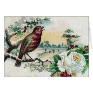 Cartão Cartão-postal para aves de 1908