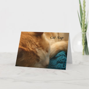 Cartão Cartão: Sesta do gato