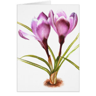 Cartão "Cartão vazio diário das belas artes do açafrão