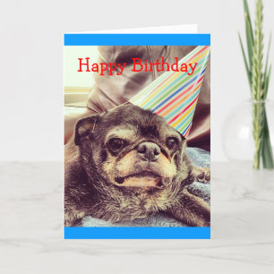 Cartão Cartaz de Bumblesno: Feliz Aniversário