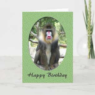 Cartão Carteira de aniversário feliz de um animal adoráve
