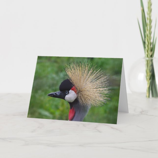 Cartão Carteira de saudações da vida selvagem, vazio. (Frente)