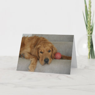 Cartão Carteira de saudades!