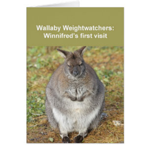 Cartão Carteira Wallaby