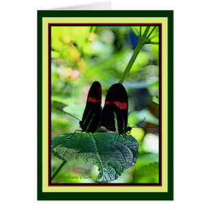 Cartão Carteiro vermelho: borboleta