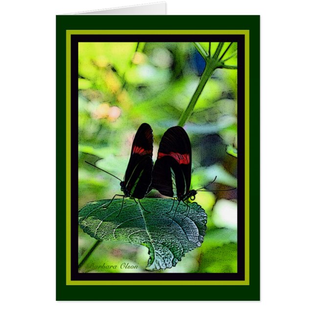 Cartão Carteiro Vermelho: borboleta (Frente)