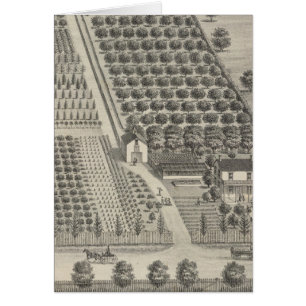 Cartão Cartões, Woodland